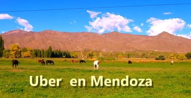 Uber en Mendoza